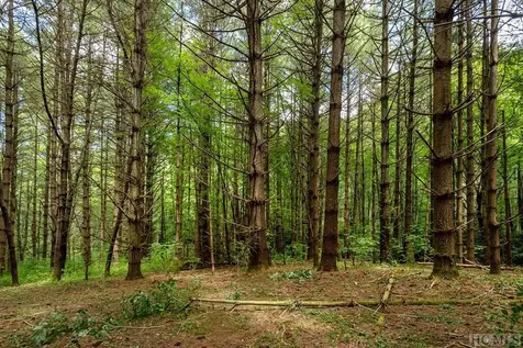 Tbd Mill Creek Road Cullowhee NC 28723