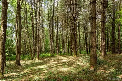 Tbd Mill Creek Road Cullowhee NC 28723