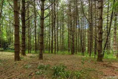 Tbd Mill Creek Road Cullowhee NC 28723