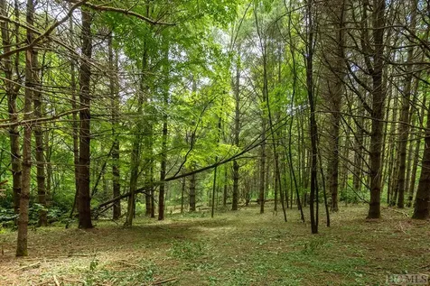 Tbd Mill Creek Road Cullowhee NC 28723