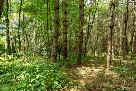 Tbd Mill Creek Road Cullowhee NC 28723