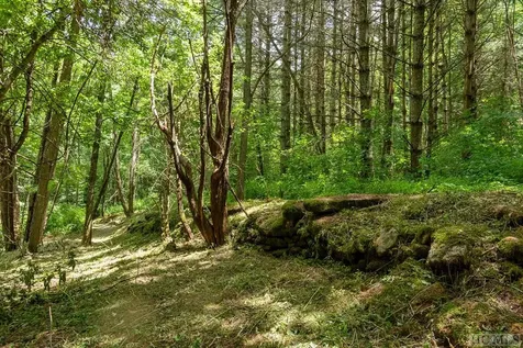 Tbd Mill Creek Road Cullowhee NC 28723