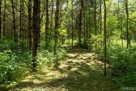 Tbd Mill Creek Road Cullowhee NC 28723