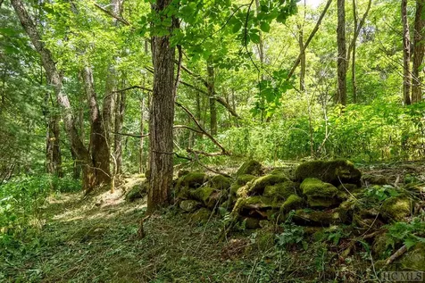 Tbd Mill Creek Road Cullowhee NC 28723