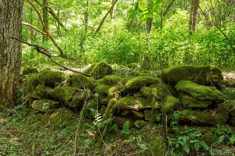 Tbd Mill Creek Road Cullowhee NC 28723