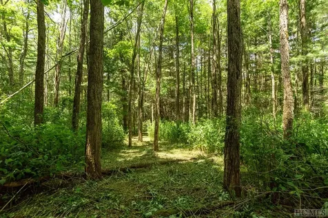Tbd Mill Creek Road Cullowhee NC 28723