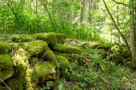 Tbd Mill Creek Road Cullowhee NC 28723