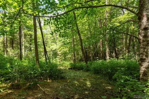 Tbd Mill Creek Road Cullowhee NC 28723