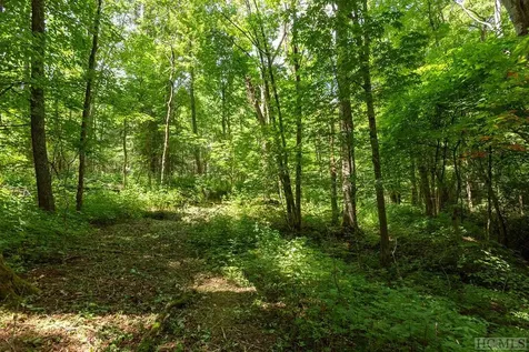 Tbd Mill Creek Road Cullowhee NC 28723