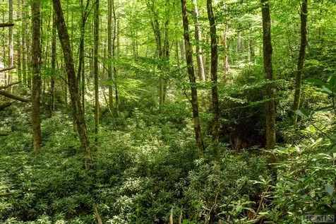 Tbd Mill Creek Road Cullowhee NC 28723
