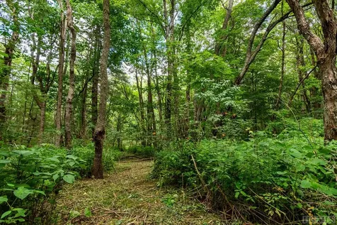 Tbd Mill Creek Road Cullowhee NC 28723