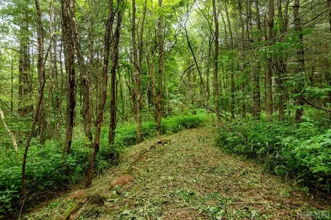 Tbd Mill Creek Road Cullowhee NC 28723