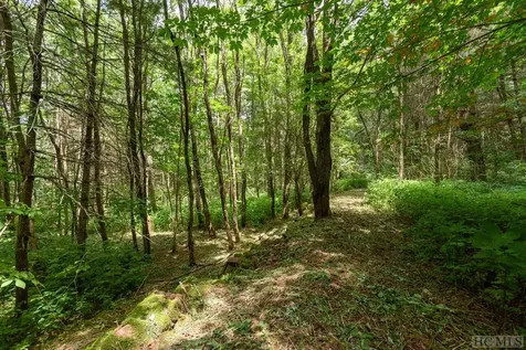Tbd Mill Creek Road Cullowhee NC 28723