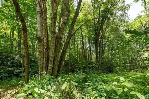 Tbd Mill Creek Road Cullowhee NC 28723