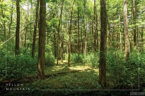 Tbd Mill Creek Road Cullowhee NC 28723