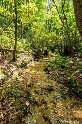 Tbd Mill Creek Road Cullowhee NC 28723