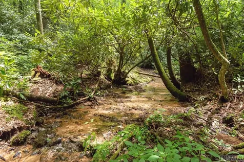 Tbd Mill Creek Road Cullowhee NC 28723