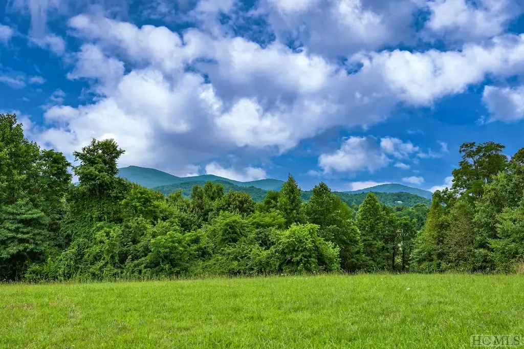 Tbd Hale Ridge Road Scaly Mountain NC 28775