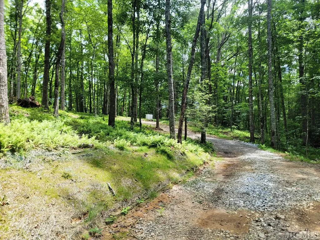 B45 Great Falls Drive Glenville NC 28736
