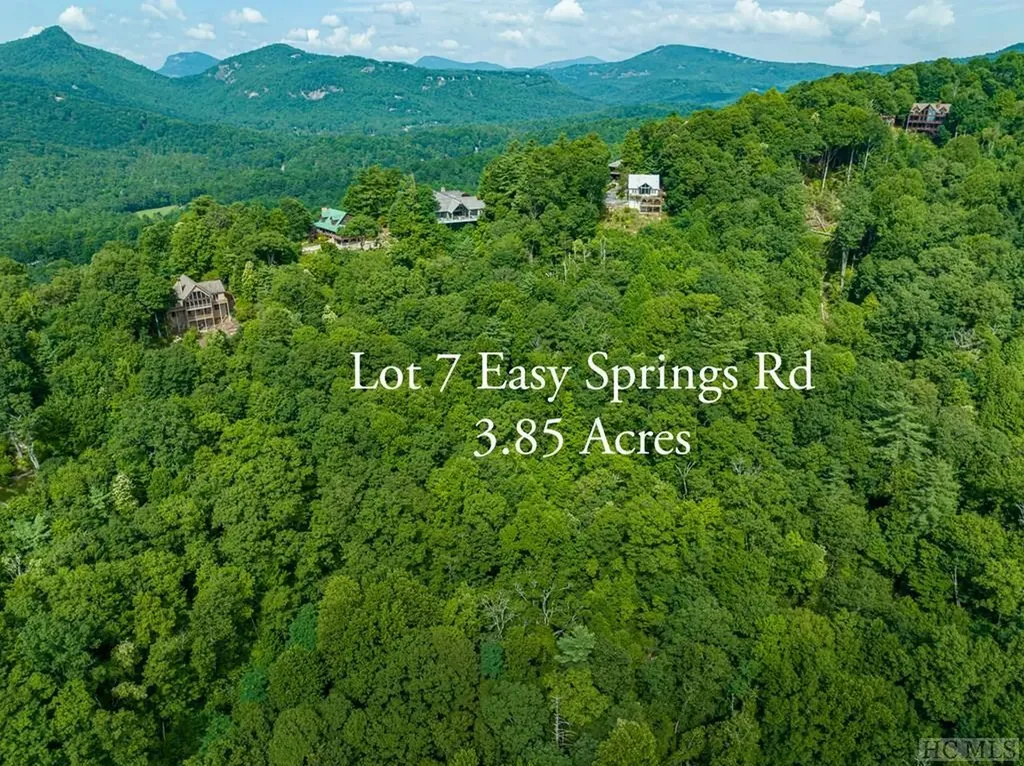 Lot 7 Easy Springs Road Sapphire NC 28774
