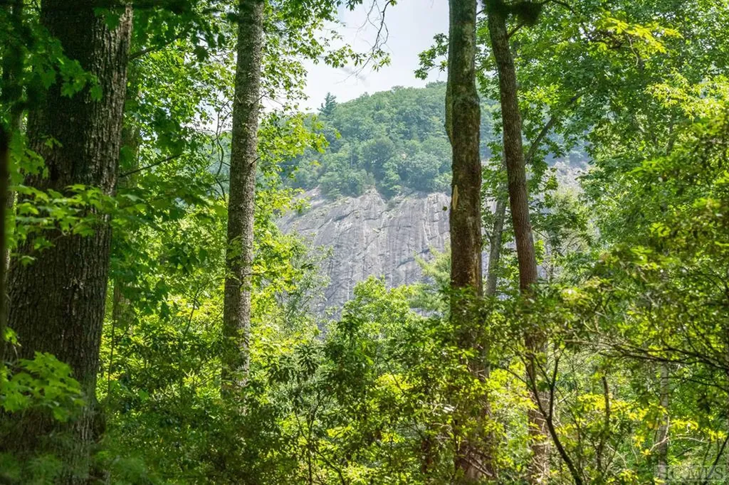 Lot 173 Lonesome Valley Road Sapphire NC 28774