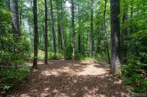 Lot 173 Lonesome Valley Road Sapphire NC 28774