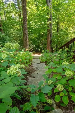 80 Lower Cottage Lane Highlands NC 28741