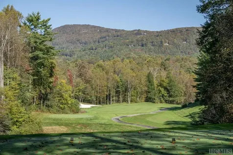 47 S Horseshoe Drive Sapphire NC 28774