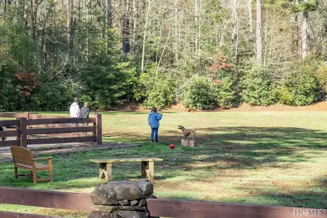 47 S Horseshoe Drive Sapphire NC 28774