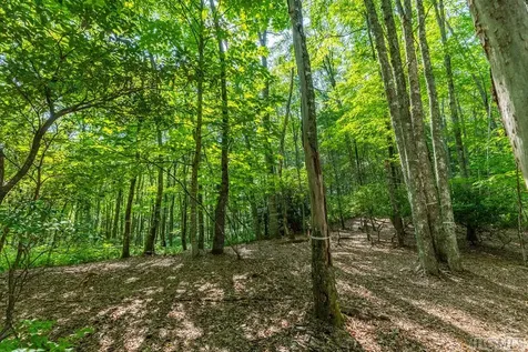 12 Fish Camp Trail Glenville NC 28736