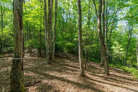 12 Fish Camp Trail Glenville NC 28736