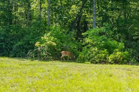 12 Fish Camp Trail Glenville NC 28736