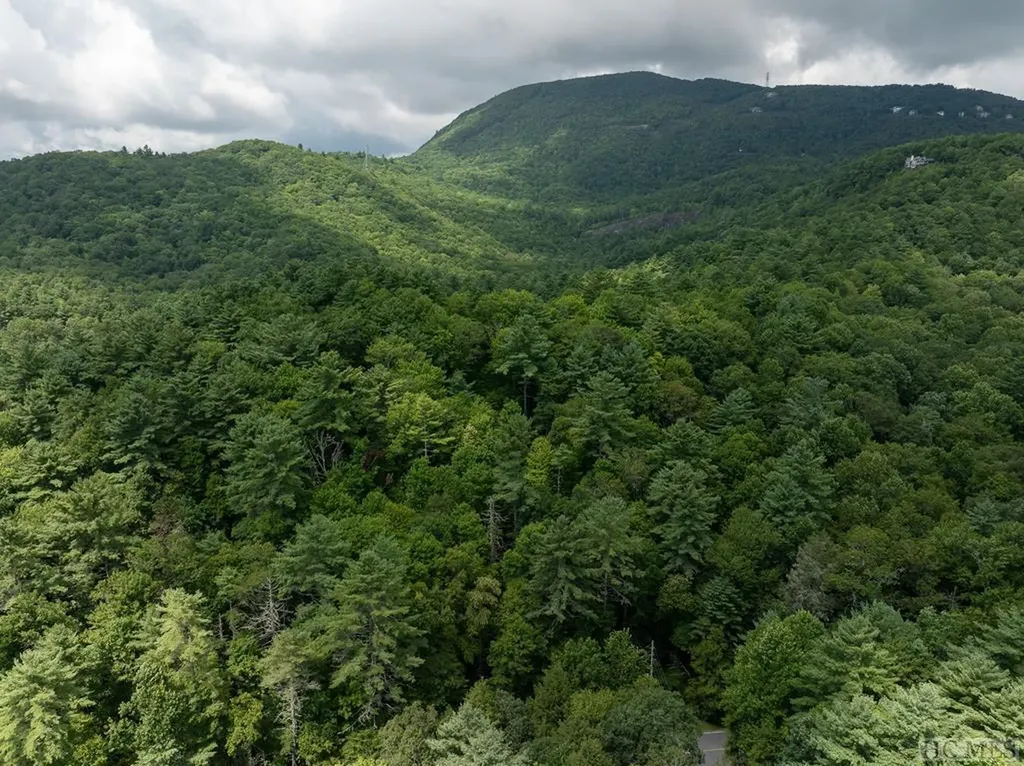 Lot 10 Deep Ford Falls Lake Toxaway NC 28747