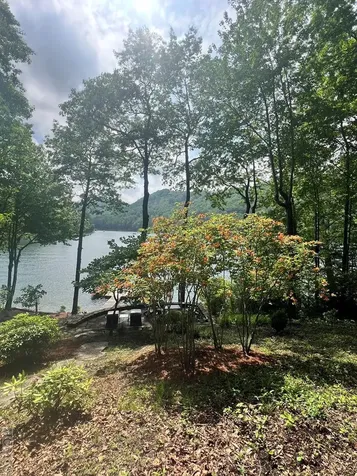 1049 Glenshore Drive Cullowhee NC 28723