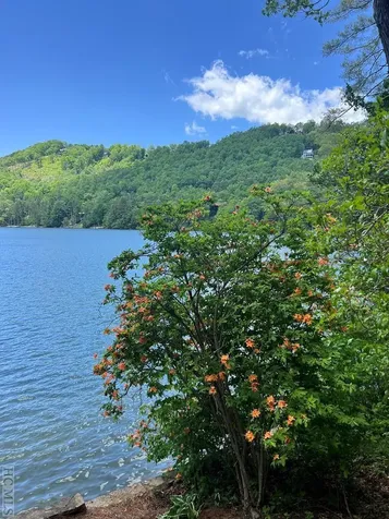 1049 Glenshore Drive Cullowhee NC 28723
