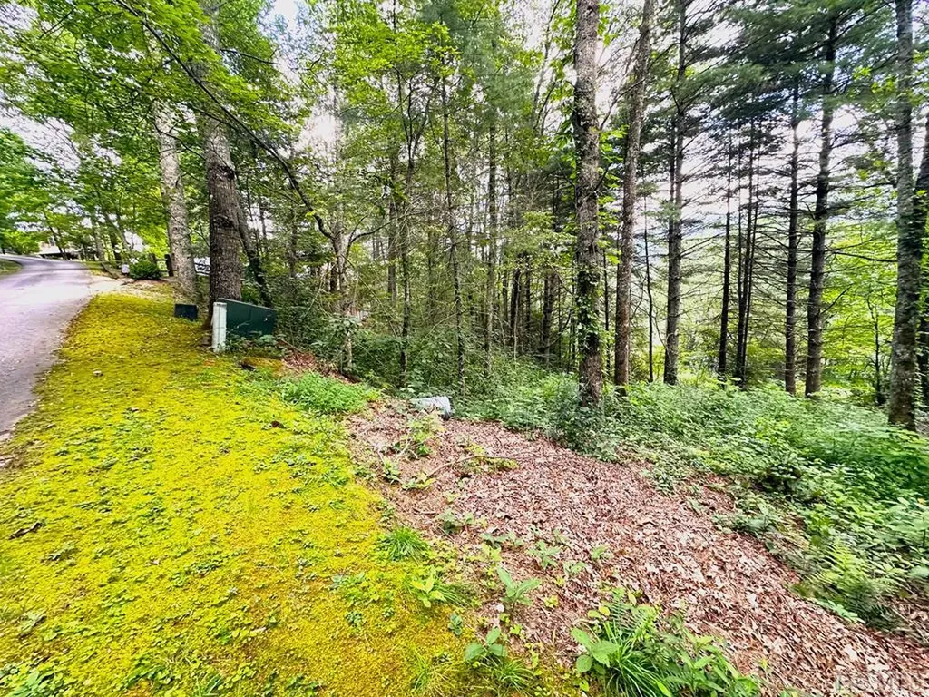 17 Glen Laurel Circle Cullowhee NC 28723