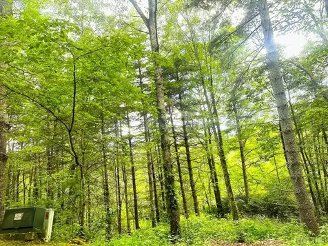 17 Glen Laurel Circle Cullowhee NC 28723