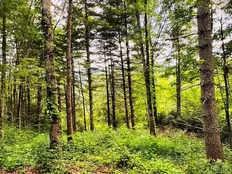 17 Glen Laurel Circle Cullowhee NC 28723