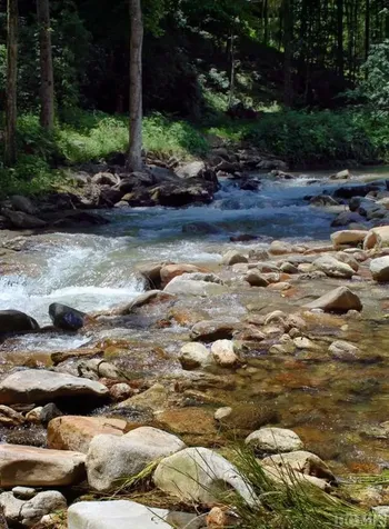 Lot 5 Waterdance Drive Cullowhee NC 28723