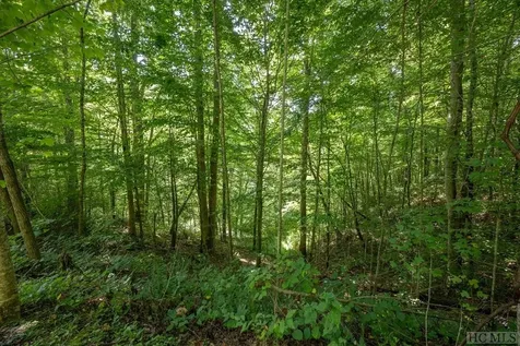 Lot 5 Waterdance Drive Cullowhee NC 28723