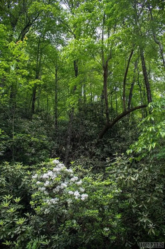 Tbd Fox Den Road Brevard NC 28712