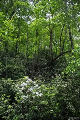 Tbd Fox Den Road Brevard NC 28712