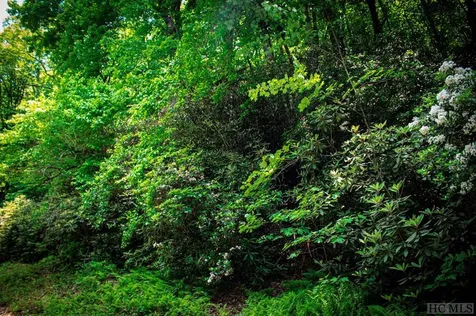 Tbd Fox Den Road Brevard NC 28712