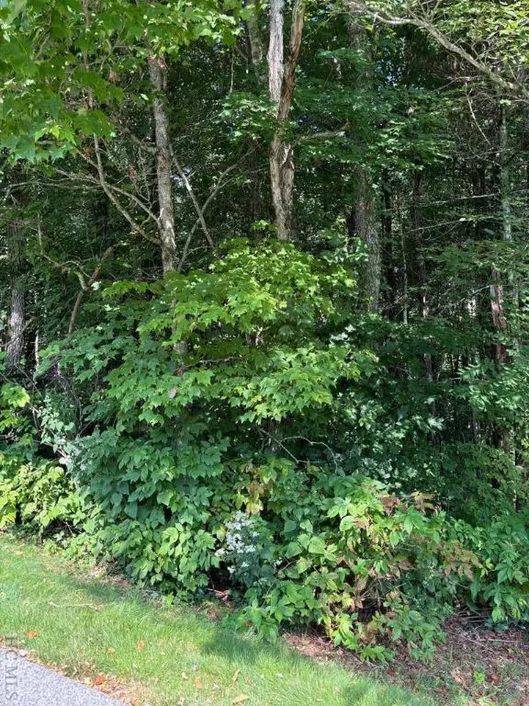 Lot 222 Dry Stack Way Cashiers NC 28717