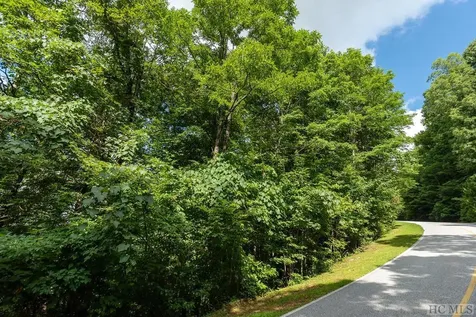 Lot 22 Panther Ridge Road Lake Toxaway NC 28747