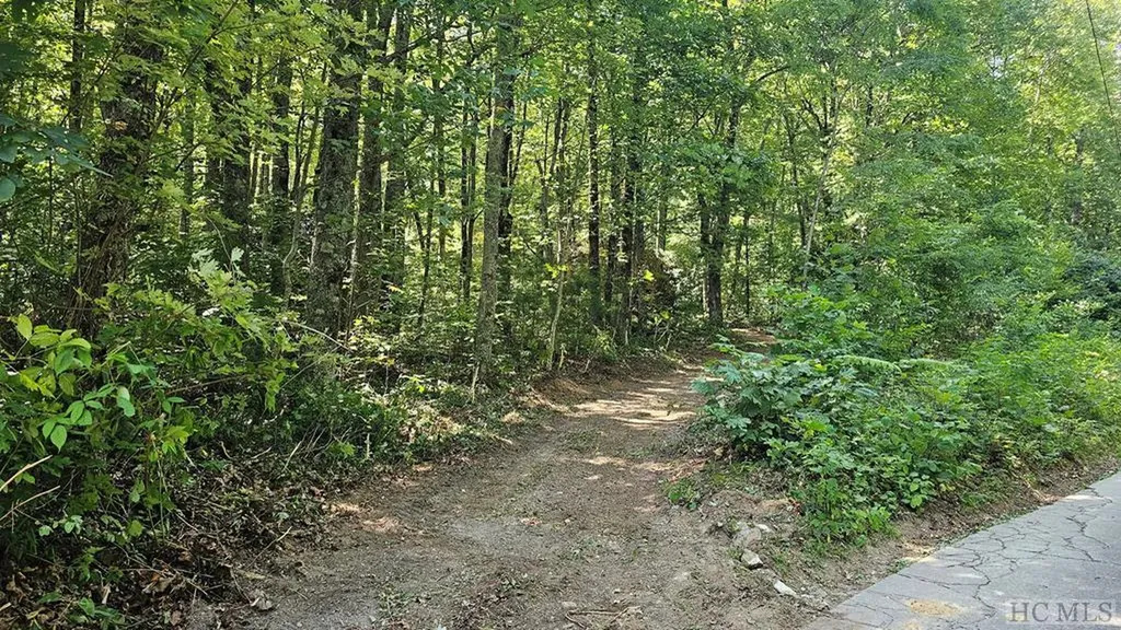 811 Eastside Duck Mountain Road Scaly Mountain NC 28775