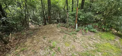 30 Rock Creek Court Sapphire NC 28774