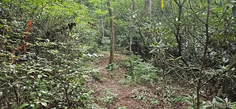 30 Rock Creek Court Sapphire NC 28774