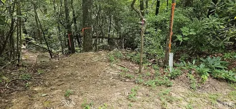 30 Rock Creek Court Sapphire NC 28774