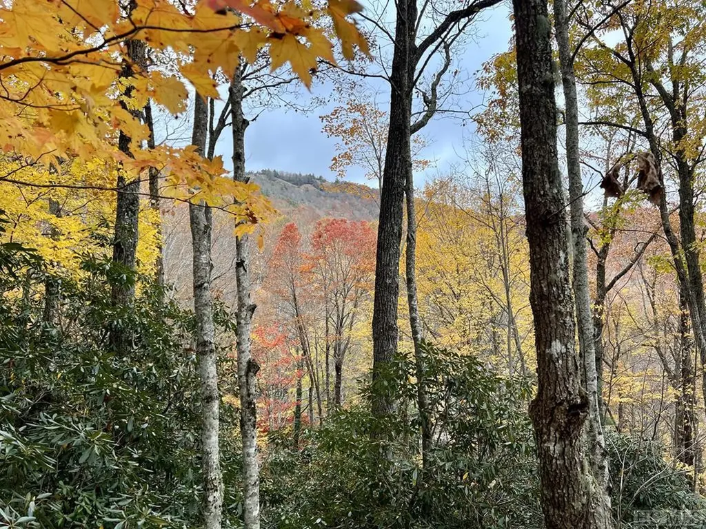 D-17 Cherokee Trace Cashiers NC 28717
